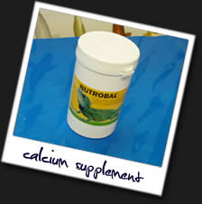 Calcium-Supplement