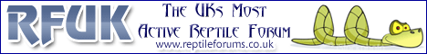 Reptile-Forums-UK