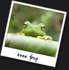 Tree-Frog